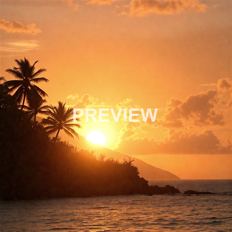 A vibrant sunset over a tropical coastline with palm trees silhouetted against the glowing sky and the ocean reflecting the warm colors.